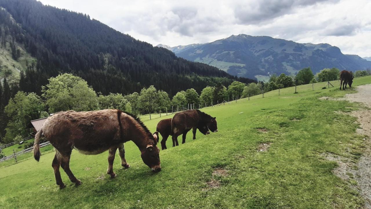 Privatzimmervermietung Foidlbauer โอแบร์นดอร์ฟ อิน ทิโรล ภายนอก รูปภาพ